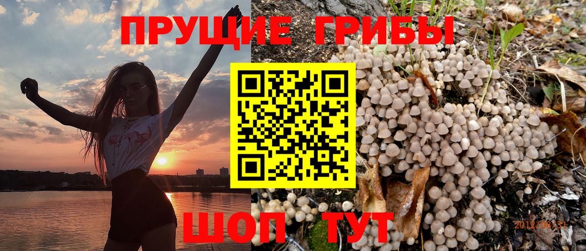 Галлюциногенные грибы MAGIC MUSHROOMS Миллерово